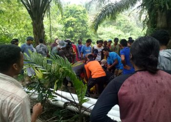 Petugas gabungan BPBD Dharmasraya, TNI - Polri, bersama masyarakat Simpang 7, Nagari Tabek Kecamatan Timpeh, saat mengevakuasi jenazah yang ditemukan tidak bernyawa di aliran Sungai Batang Timpeh, Selasa (04/08). BPBD Dharmasraya