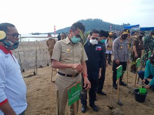 Gubernur Sebut Tanam Mangrove untuk Mitigasi Bencana Tsunami 