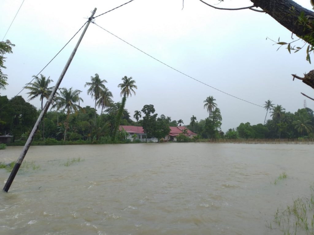 Banjir Rendam Lahan Pertanian Warga Sungai Sapiah