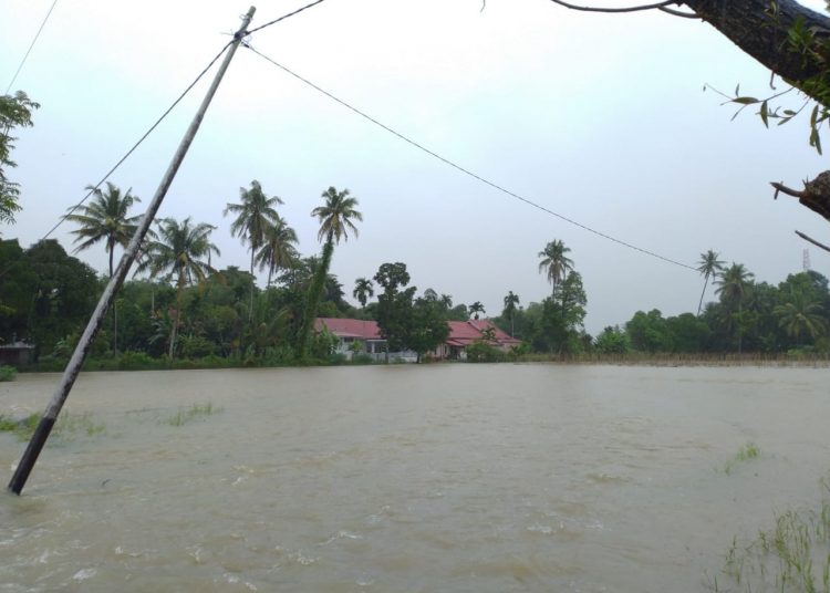 Sawah dan ladang petani di Lolong Karan, Kelurahan Sungai Sapih, Kecamatan Kuranji, Kota Padang, yang tergenang banjir Kamis (10/9/2020). ANDI YUSRAN