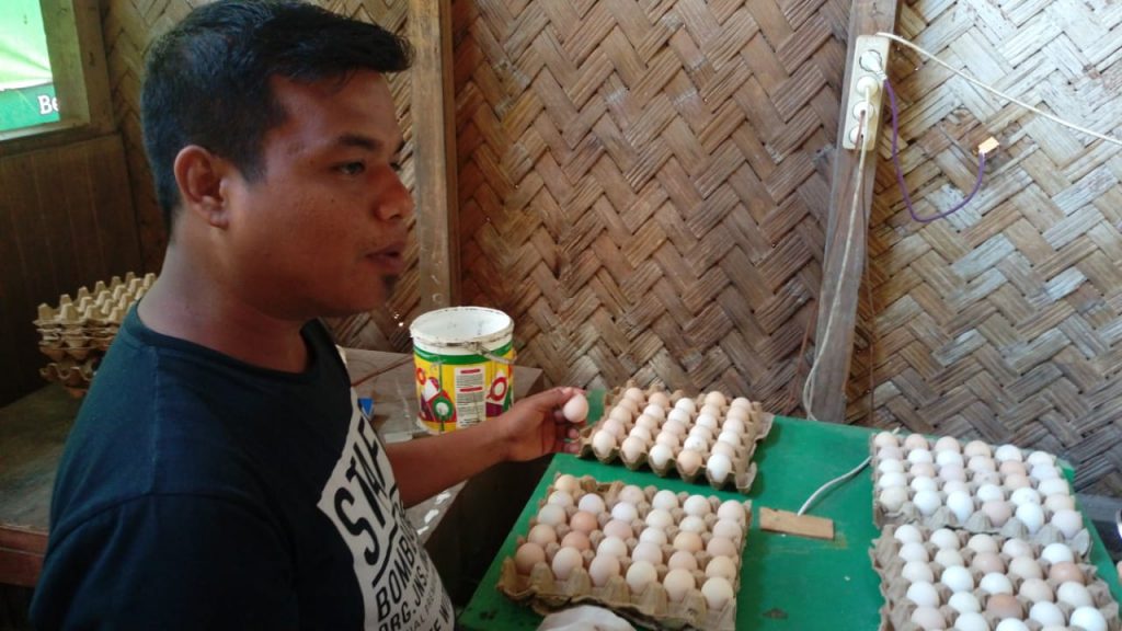 Bermodal Mesin Penetas yang Rusak, Pemuda Pariaman Ini Kini Raup Rp2,5 juta per Minggu