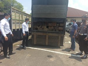 Puluhan Kubik Kayu Tanpa Dokumen Diamankan Polres 50 Kota