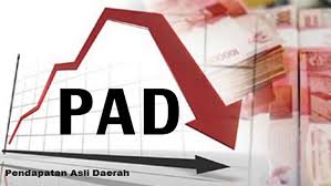 Pendapatan Daerah di APBD Perubahan 2020 Alami Penurunan?