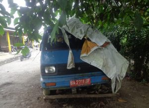 Ayo Buruan! Pemda Padang Pariaman Lelang Puluhan Kendaraan