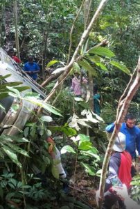 Mobil Pikap Ini Terjun ke Jurang Kelok 44, Anak Luka-luka, Sang Ibu Meninggal