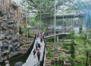 Objek Wisata Berbayar di Bukittinggi Ditutup Dua Hari