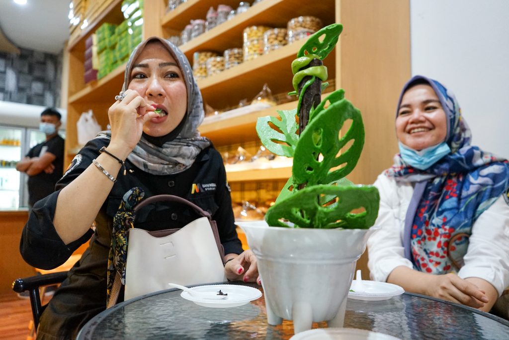 Tanaman Janda Bolong di Padang Ini Bisa Santap