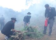 Bareskrim Polri Musnahkan 5 Hektare Ladang Ganja di Sumut