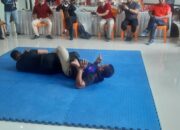 Tokoh Beladiri Campuran, Beri Pelatihan bagi Juri IBA-MMA di Bukittinggi