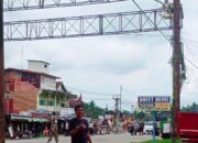 Baliho di Jalinsum Nagari Sikabau Dharmasraya Dibongkar Dinas Pol PP dan Damkar, Ini Alasannya