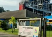 Begini Kronologis Kebakaran di PLTU Teluk Sirih dan Tewasnya Satu Pekerja