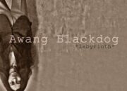 Musisi Indie Awang Blackdog Rilis Singel Terbarunya Labyrinth