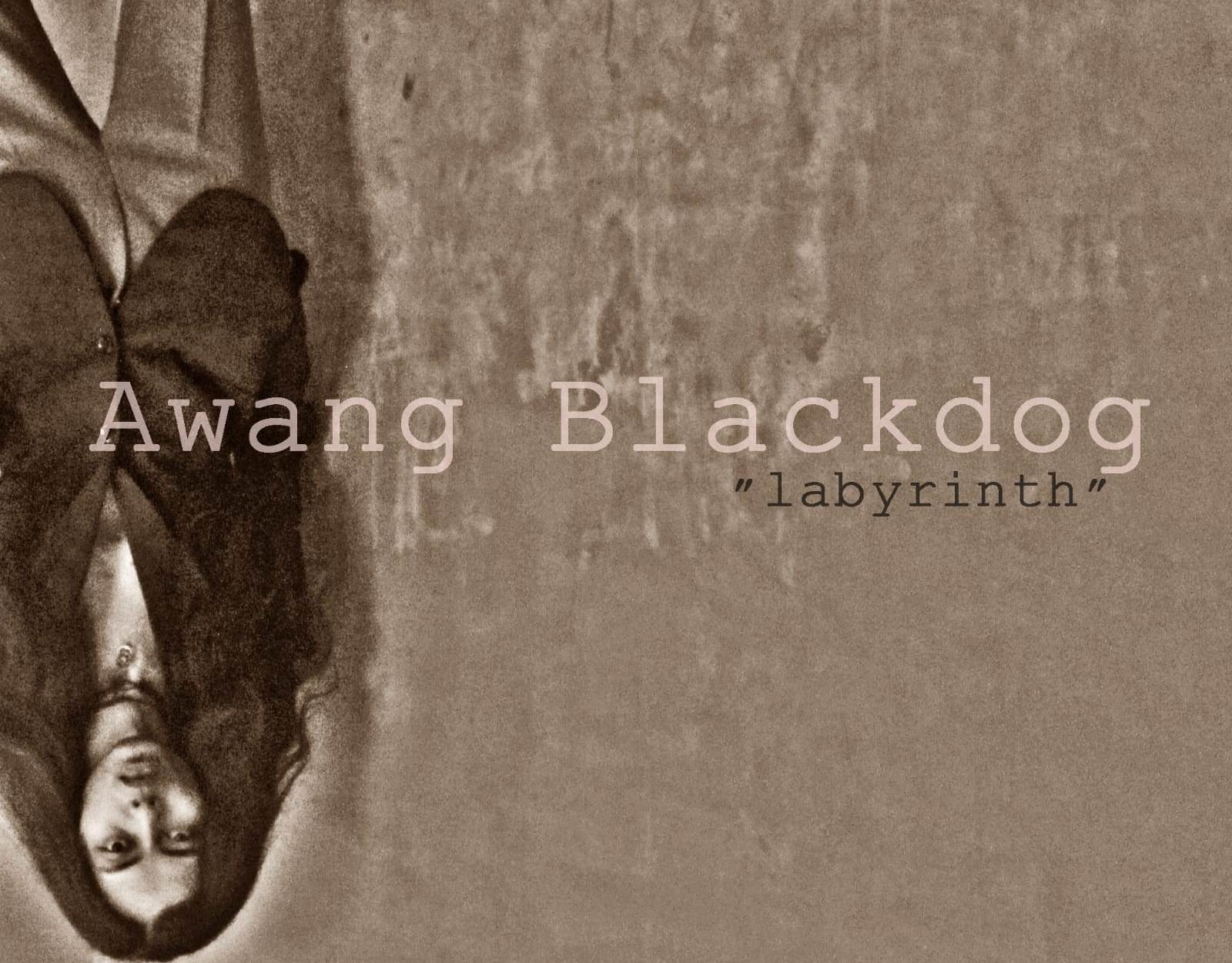 Musisi Indie Awang Blackdog
