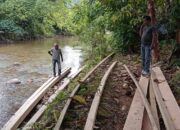 Kodim 0311/Pesisir Selatan Amankan 10 Kubik Kayu Olahan