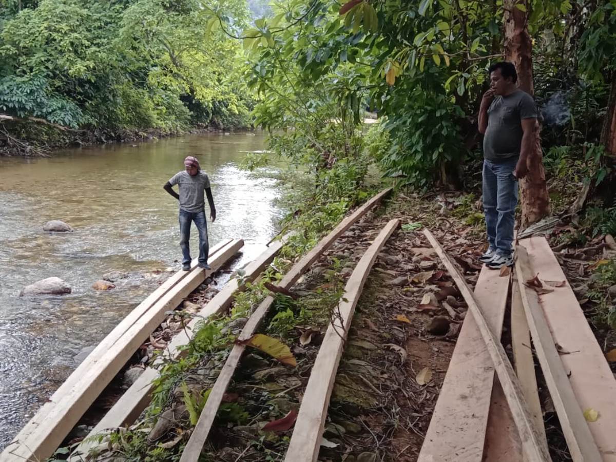 Intel Kodim 0311 Pessel