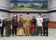 Komite III DPD RI Apresiasi Sistem Digitalisasi Rumah Sakit di Sumbar