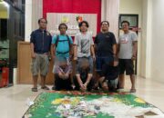 Tiga Pelaku Judi Song Diringkus Macan Kumbang Polres Pessel, Satu Diantaranya IRT