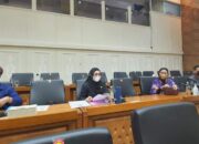 Baleg Mulai Bahas RUU-TPKS, Lisda Hendrajoni: 70 DIM Selesai Sehari