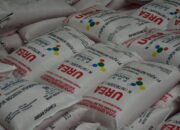 Kementan: Mulai Juli 2022 Hanya Pupuk Urea dan NPK yang Disubsidi