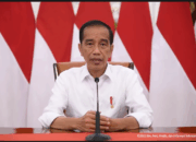 Jokowi Keluarkan Larangan Ekspor Minyak Goreng, Pengamat Jawab Begini