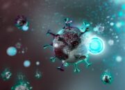 Menkes : Tunggu 20 – 25 Hari ke Depan untuk Pantau Perkembangan Covid-19 Pascalebaran