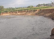 Warga Batang Pelangai Pessel Resah, Setiap Hari Tanah Terkikis Aliran Sungai