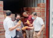 Kejaksaan Turun Tangan, Temukan Satu Satu Kontainer Minyak Goreng yang Akan Diekspor