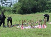 Pemusnahan Petasan di Bangkalan, Puluhan Rumah Rusak