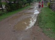 Puluhan Tahun tak Kunjung Diperbaiki, Tiba-tiba Akses Jalan di Pessel Ada Kolam?