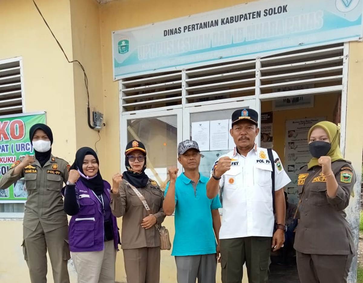 pasar ternak muaro paneh tutup PMK