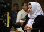 Jokowi Teken Perpres Stranas Penghapusan Kekerasan terhadap Anak, Lisda Hendrajoni: Harus Efektif dan Pro Rakyat