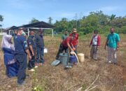 Satpol PP Damkar Dharmasraya Musnahkan Barang Bukti Pekat
