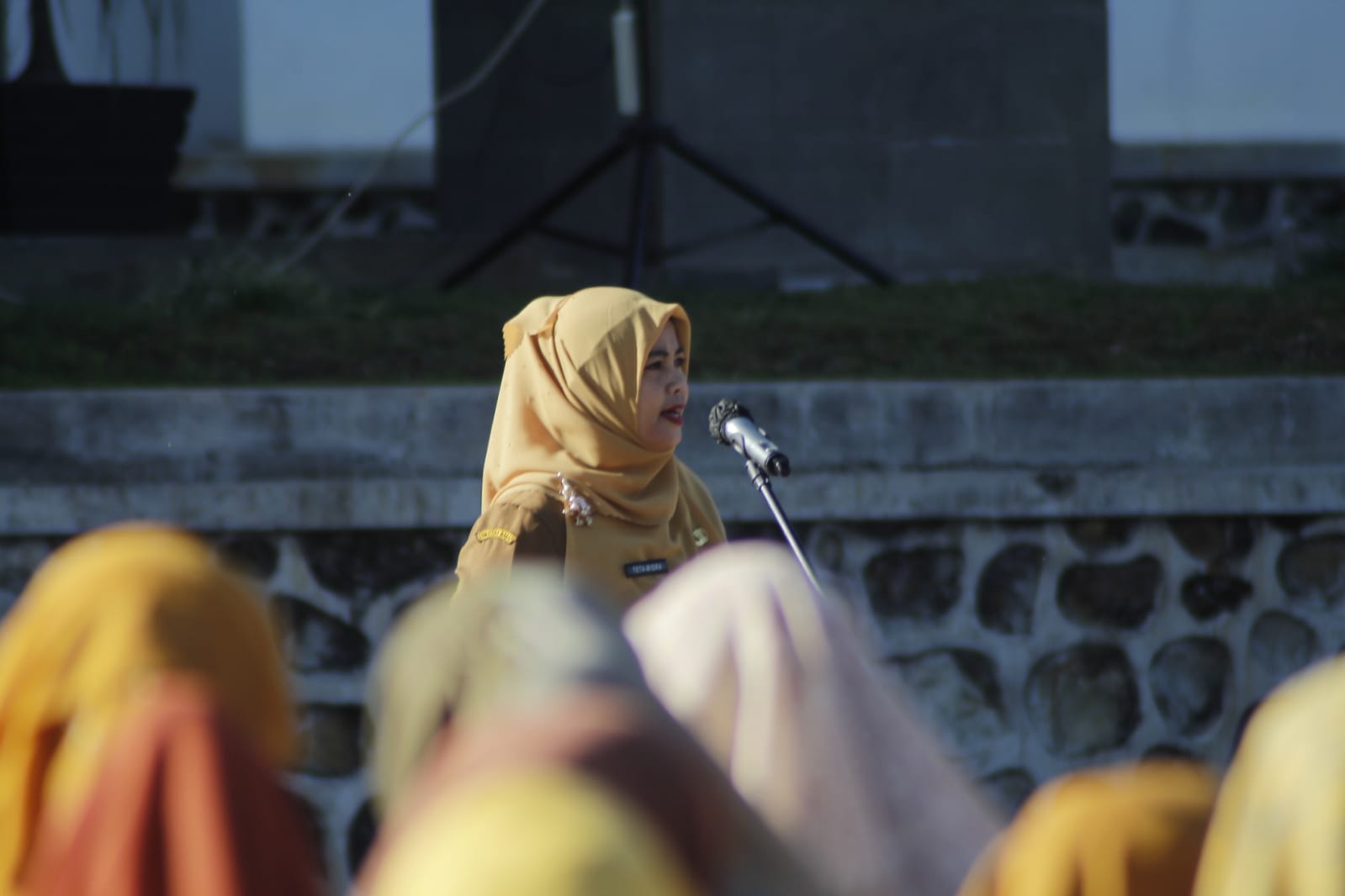 pemkab solok digitalisasi