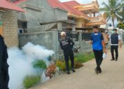 40 Kasus DBD di Kabupaten Solok, Dinkes Lakukan Fogging dan Survei Jentik