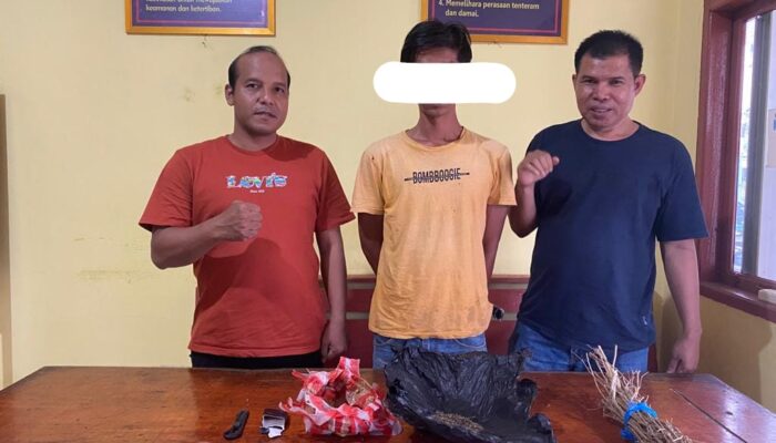 Kedapatan Miliki Ganja, Seorang Pria Ditangkap Polisi di Sutera Pessel