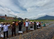 Pemko Bukittinggi Canangkan Gerakan Menanam Bawang Merah