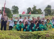 FIFGROUP Cabang Padang 2 Ikut Hijaukan Bumi