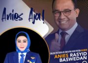 Anies Dideklarasikan NasDem Jadi Capres, Lisda Hendrajoni: Dampak Positif Untuk Daerah