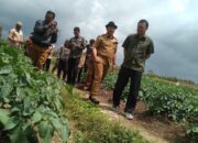 PT Indofood Jajaki Kerja Sama dengan Petani Kabupaten Solok