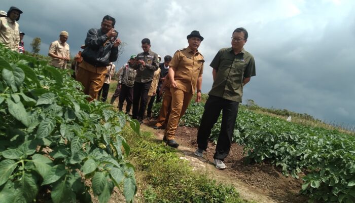 PT Indofood Jajaki Kerja Sama dengan Petani Kabupaten Solok