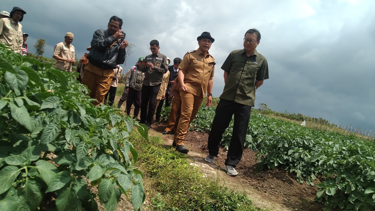 pt indofood kerja sama petani kabupaten solok