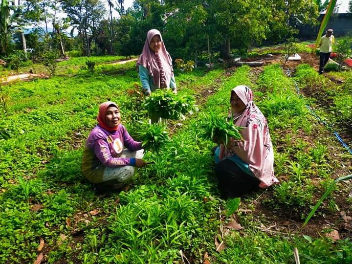 Rumah Pangan Lestari Pabrik Aqua