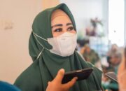 Lisda Hendrajoni Desak RUU Kesehatan Dikaji Ulang