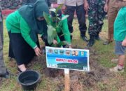 Pemkab Solok dan Badan Pengelola Kawasan Danau Singkarak Gelar Aksi Tanam Pohon