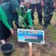 pemkab solok tanam pohon danau singkarak
