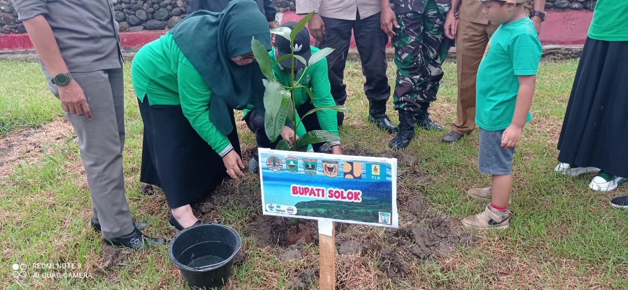 pemkab solok tanam pohon danau singkarak