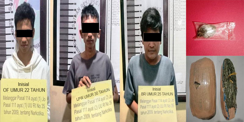 ganja pelajar mahasiswa dharmasraya