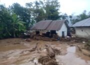 Banjir Bandang Hantam Nagari Surian, Rumah dan Lahan Sawah Rusak