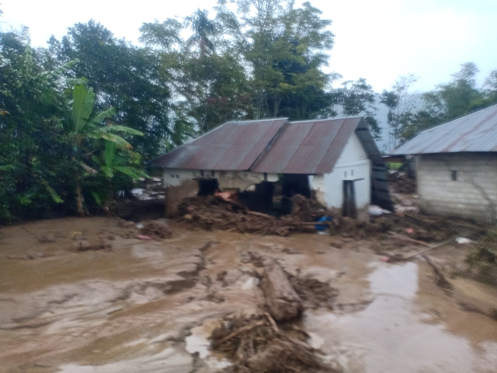 banjir bandang nagari surian