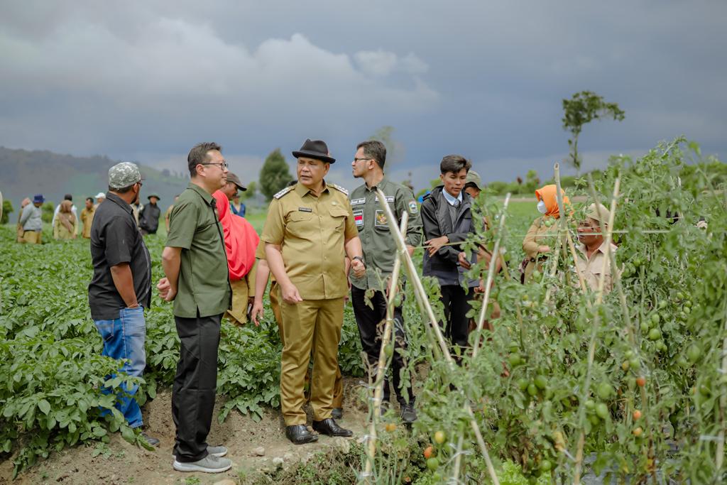 sayuran terbanyak kabupaten solok